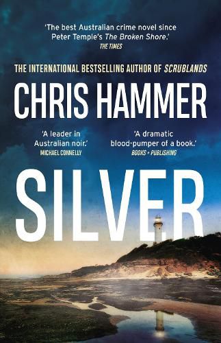 Cover image for Silver