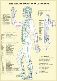 Cover image for Special Points in Acupunture -- A4