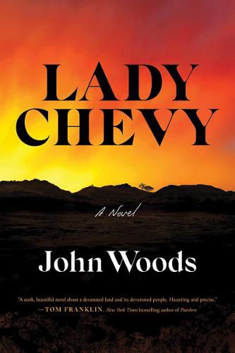 Cover image for Lady Chevy