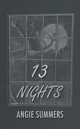 Cover image for 13 Nights