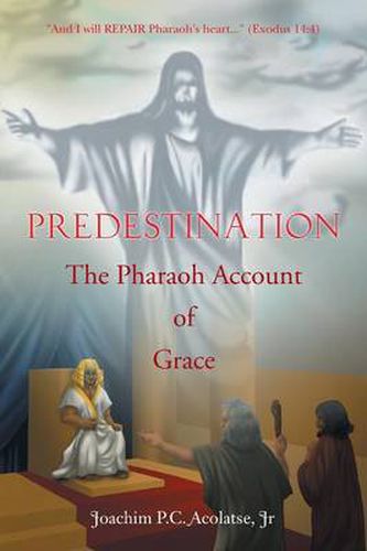 Cover image for Predestination