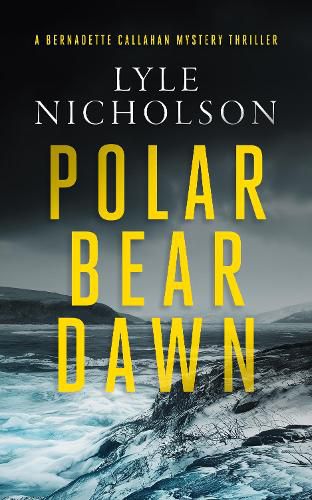 Cover image for Polar Bear Dawn