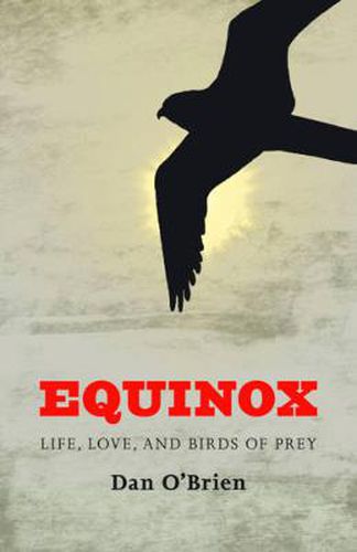 Cover image for Equinox: Life, Love, and Birds of Prey