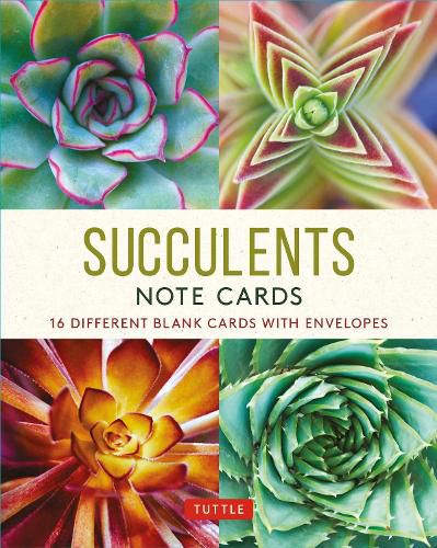 Cover image for Succulents, 16 Note Cards: 16 Different Blank Cards with Envelopes