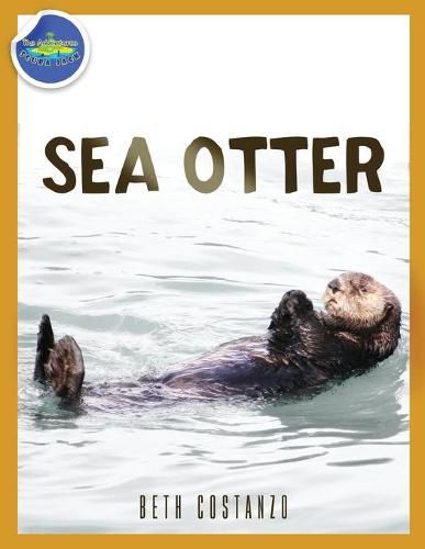 Cover image for Sea Otter ages 2-4