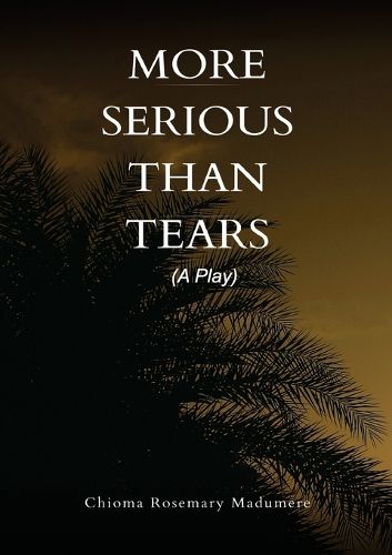 Cover image for More Serious than Tears