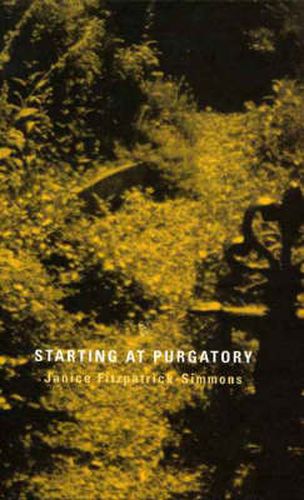 Cover image for Starting at Purgatory