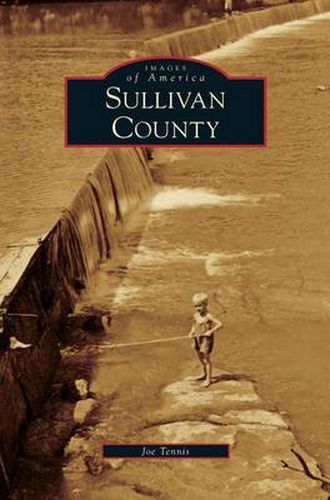 Cover image for Sullivan County