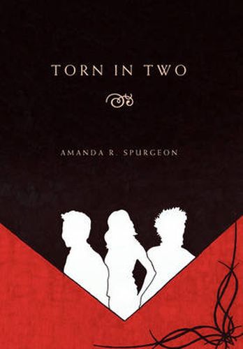 Cover image for Torn in Two