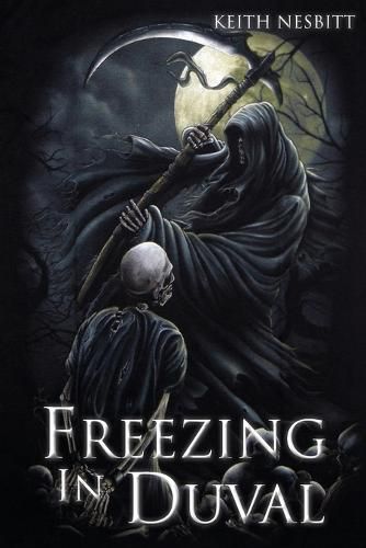 Cover image for Freezing in Duval