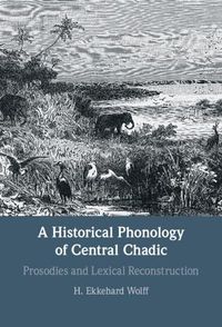 Cover image for A Historical Phonology of Central Chadic: Prosodies and Lexical Reconstruction