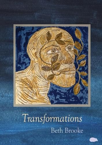 Cover image for Transformations