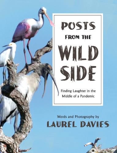 Cover image for Posts From The Wild Side, Finding Laughter in the Middle of a Pandemic