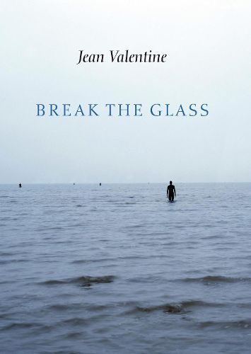 Cover image for Break the Glass