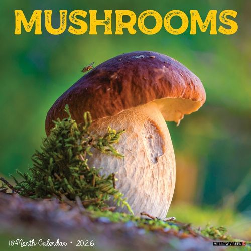 Cover image for Mushrooms 2026 12 X 12 Wall Calendar