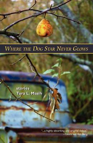 Cover image for Where The Dog Star Never Glows