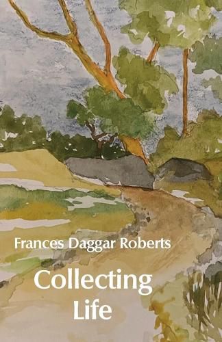 Cover image for Collecting Life