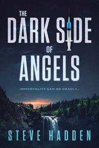 Cover image for The Dark Side of Angels