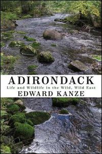 Cover image for Adirondack: Life and Wildlife in the Wild, Wild East