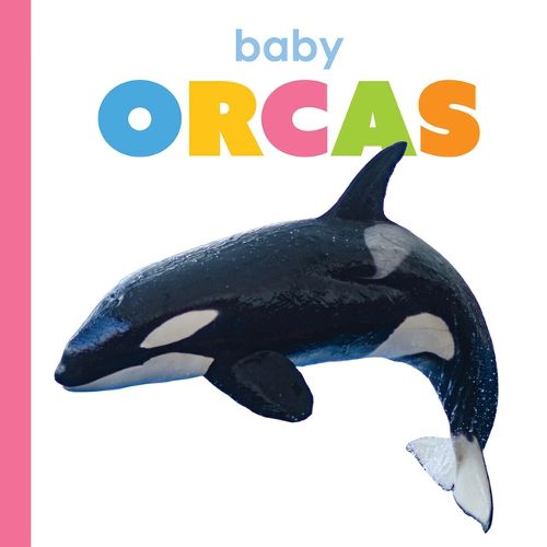Cover image for Baby Orcas