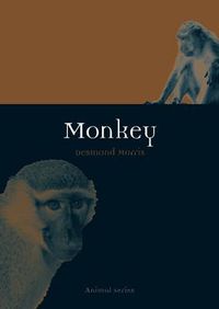 Cover image for Monkey