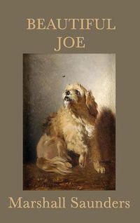 Cover image for Beautiful Joe