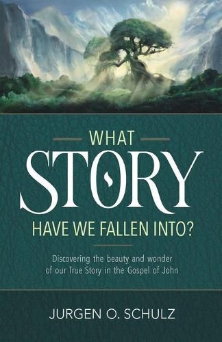 Cover image for What Story Have We Fallen Into?