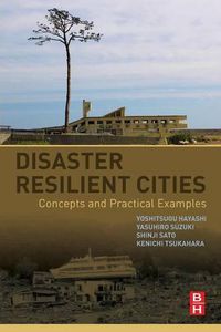 Cover image for Disaster Resilient Cities: Concepts and Practical Examples