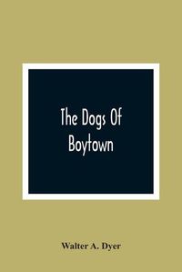 Cover image for The Dogs Of Boytown