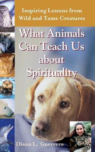 Cover image for What Animals Can Teach Us About Spirituality: Inspiring Lessons from Wild and Tame Creatures