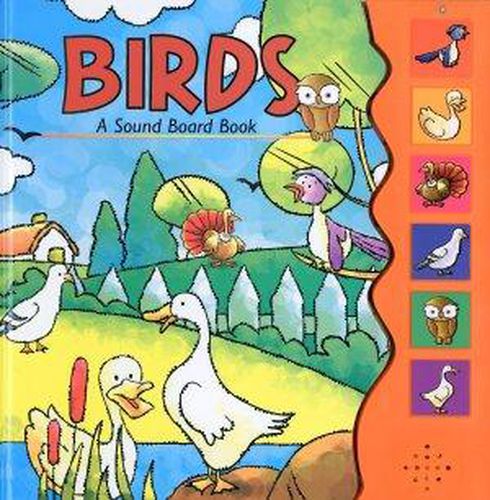 Cover image for Birds