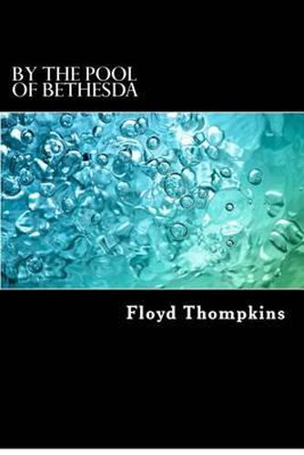 Cover image for By the Pool of Bethesda: Biblical Meditations on Long-term Illness and Terminal Diagnoses