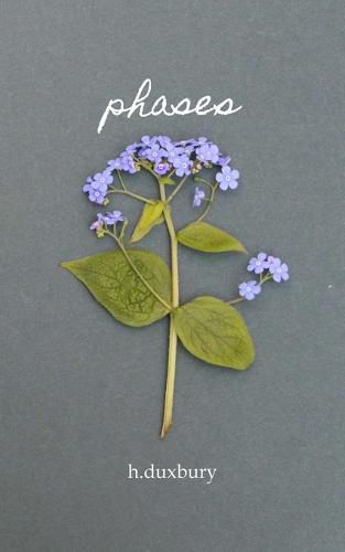 Cover image for phases: poems and musings