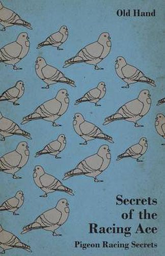 Cover image for Secrets of the Racing Ace - Pigeon Racing Secrets