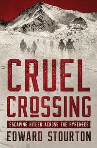 Cover image for Cruel Crossing
