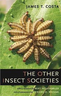 Cover image for The Other Insect Societies