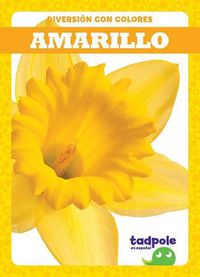 Cover image for Amarillo (Yellow)