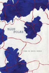 Cover image for Blue Poles