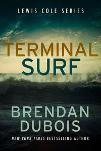 Cover image for Terminal Surf