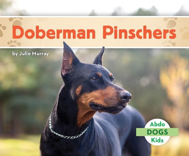 Cover image for Doberman Pinschers