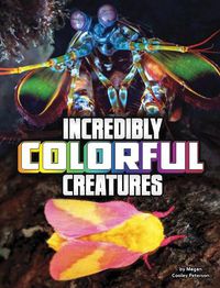 Cover image for Incredibly Colorful Creatures