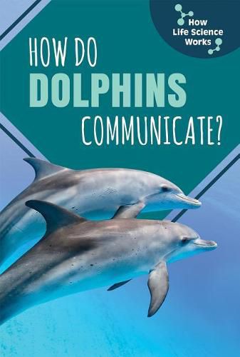 Cover image for How Do Dolphins Communicate?