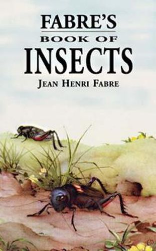 Cover image for Fabre's Book of Insects