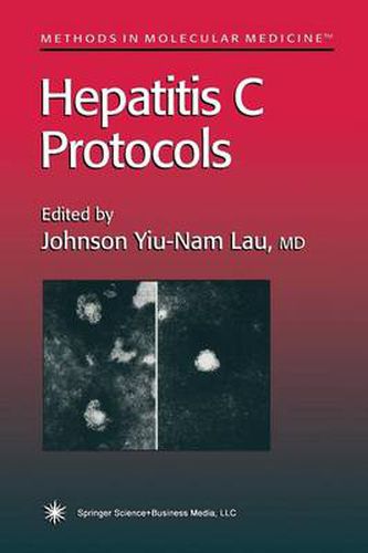 Cover image for Hepatitis C Protocols