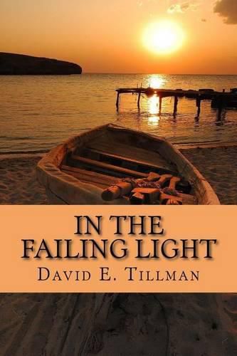 Cover image for In the Failing Light: a memoir of love and cancer