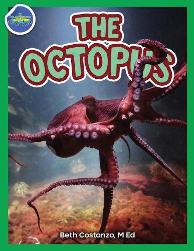 Cover image for The Octopus ages 2-4