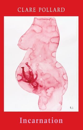 Cover image for Incarnation