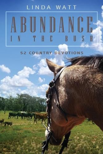 Cover image for Abundance in the Bush: 52 Country Devotions