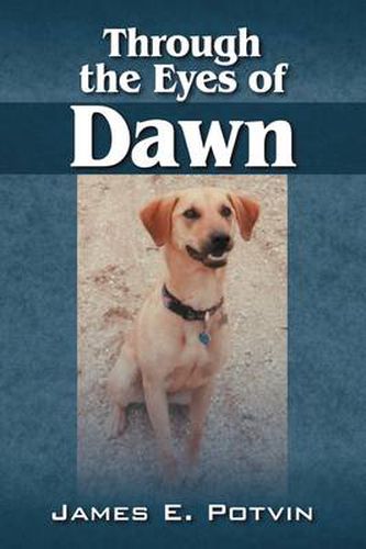 Cover image for Through the Eyes of Dawn