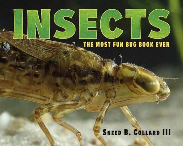 Cover image for Insects: The Most Fun Bug Book Ever